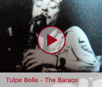 Tulpe Bolle � The Baraqs