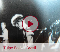 Tulpe Bolle - Brasil
